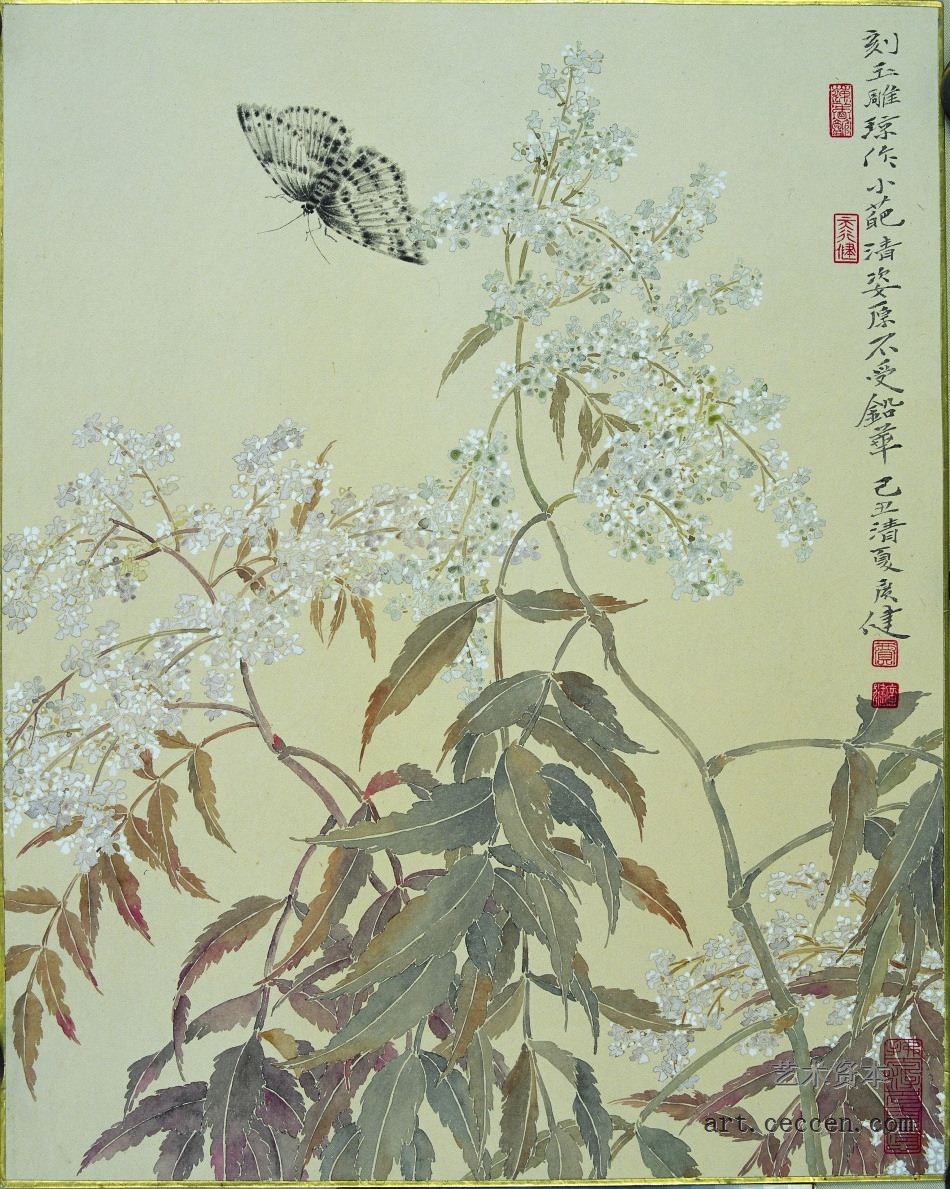 蝶舞 45×55cm 纸本设色 2009年